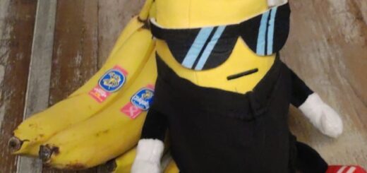 Immer dabei Bananika mit Crew