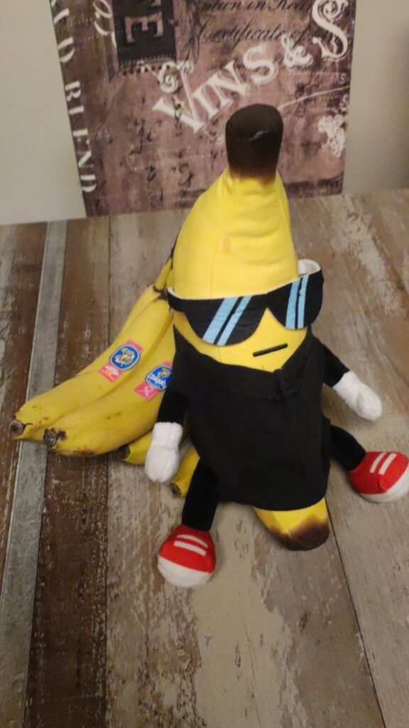 Immer dabei Bananika mit Crew